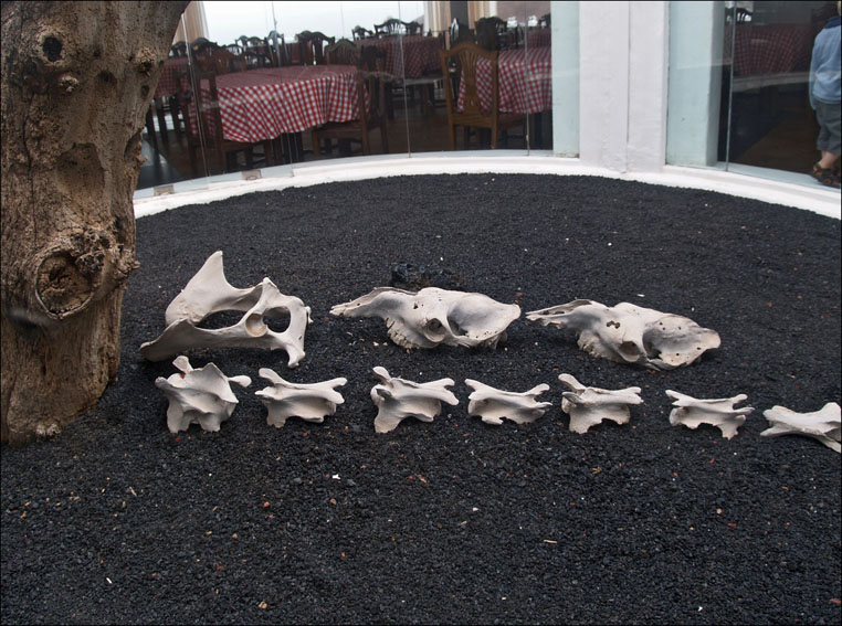 Foto de Lanzarote (Las Palmas), España