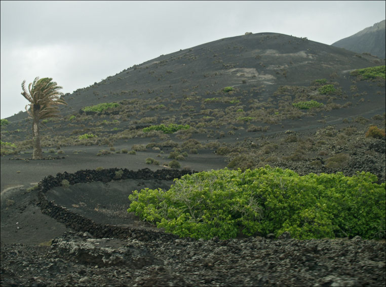 Foto de Lanzarote (Las Palmas), España