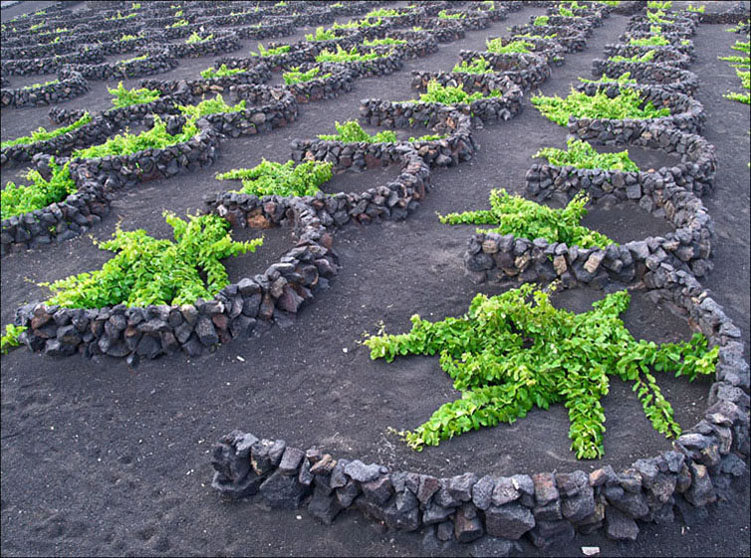 Foto de Lanzarote (Las Palmas), España