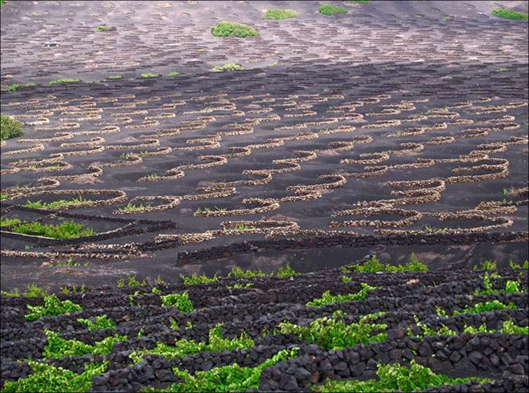 Foto de Lanzarote (Las Palmas), España