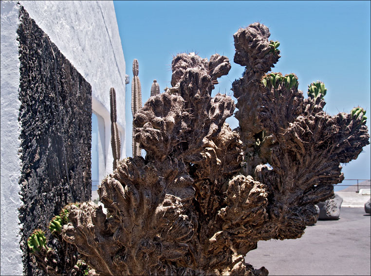 Foto de Lanzarote (Las Palmas), España