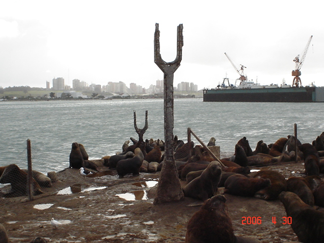 Foto de Mar del Plata, Argentina