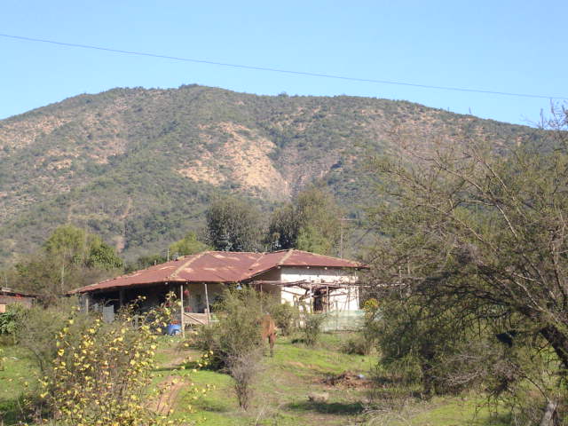 Foto de LIMACHE, Chile