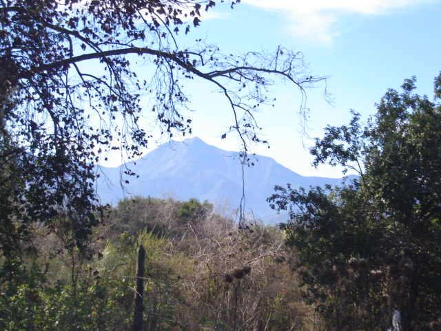 Foto de LIMACHE, Chile