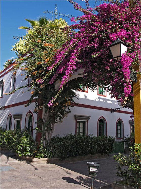 Foto de Mogán - Gran Canaria (Las Palmas), España
