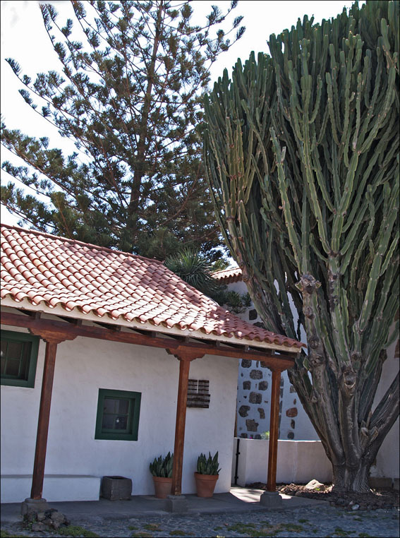 Foto de Telde - Gran Canaria (Las Palmas), España