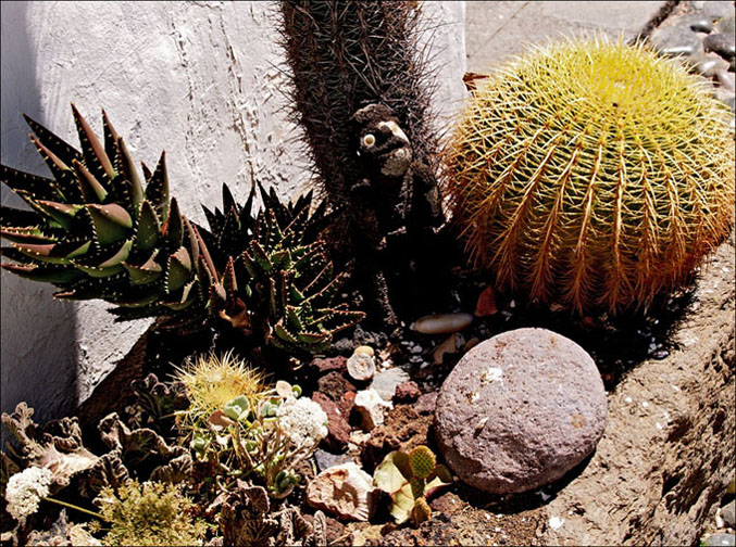 Foto de Telde - Gran Canaria (Las Palmas), España