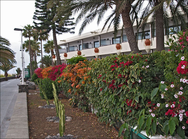 Foto de Maspalomas - Gran Canaria (Las Palmas), España
