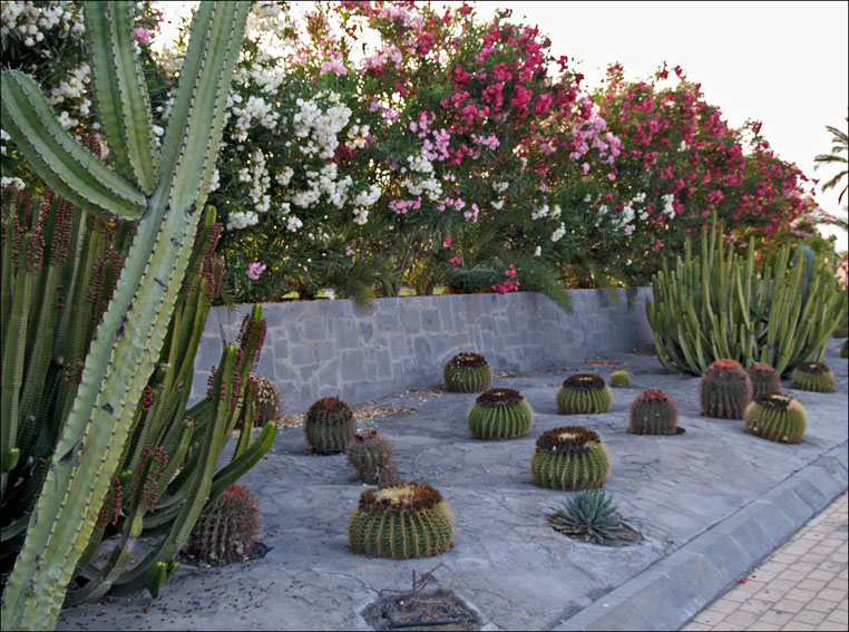 Foto de Maspalomas - Gran Canaria (Las Palmas), España