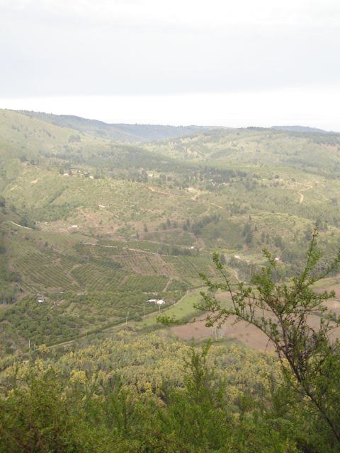 Foto de VALPARAISO, Chile