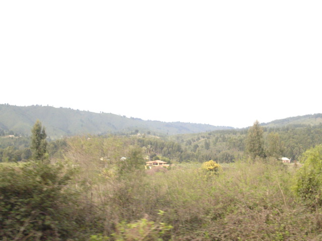 Foto de VALPARAISO, Chile