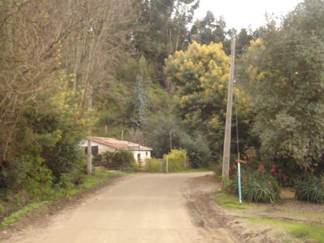 Foto de VALPARAISO, Chile