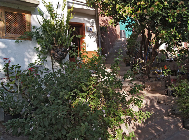 Foto de Guayadeque (Las Palmas), España