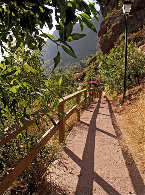 Foto de Guayadeque (Las Palmas), España