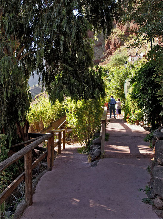 Foto de Guayadeque (Las Palmas), España