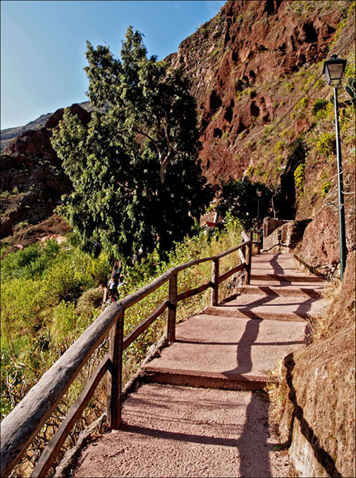 Foto de Guayadeque (Las Palmas), España