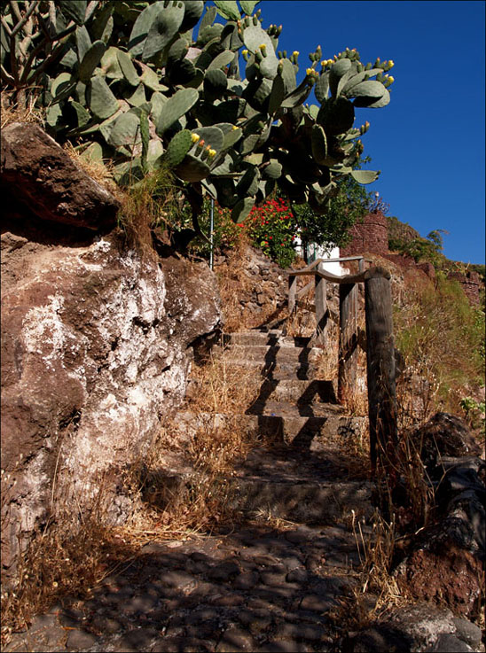 Foto de Guayadeque (Las Palmas), España