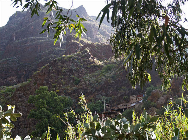 Foto de Guayadeque (Las Palmas), España