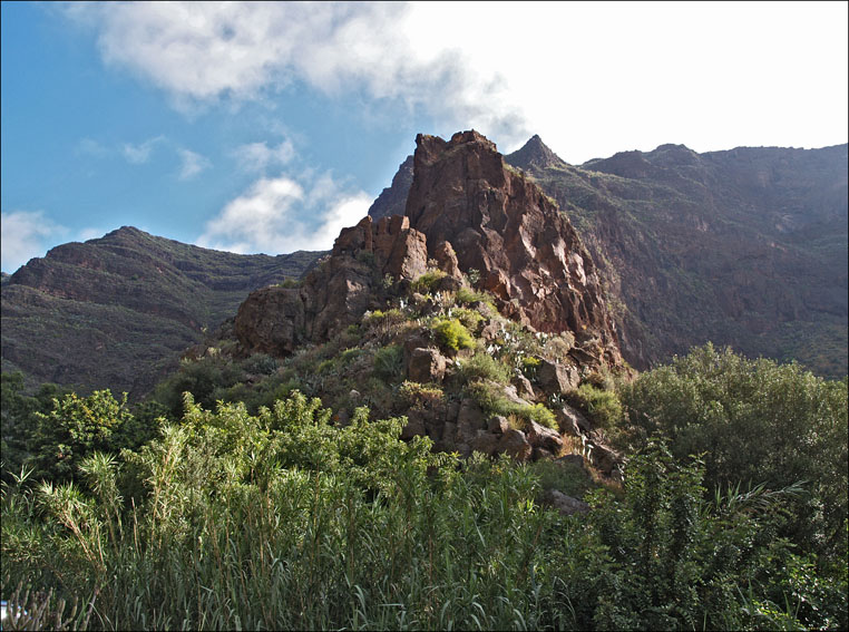 Foto de Guayadeque (Las Palmas), España