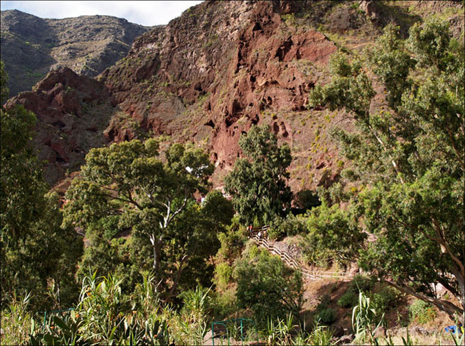 Foto de Guayadeque (Las Palmas), España