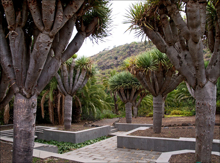 Foto de Gran Canaria (Las Palmas), España