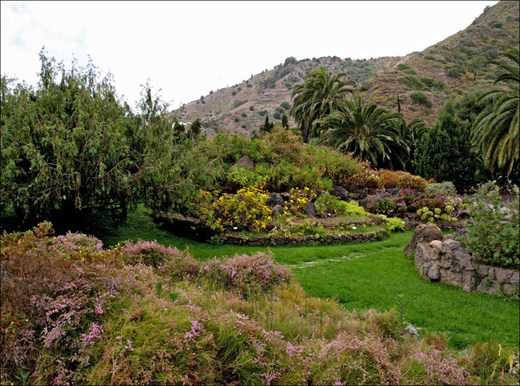 Foto de Gran Canaria (Las Palmas), España
