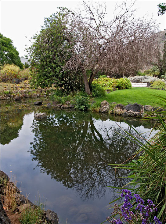 Foto de Gran Canaria (Las Palmas), España