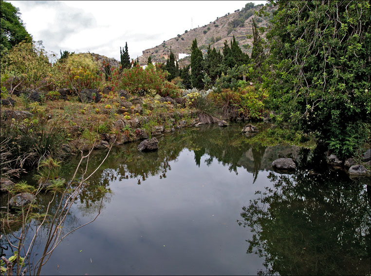 Foto de Gran Canaria (Las Palmas), España
