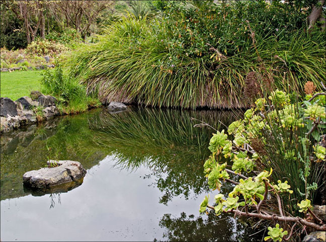 Foto de Gran Canaria (Las Palmas), España