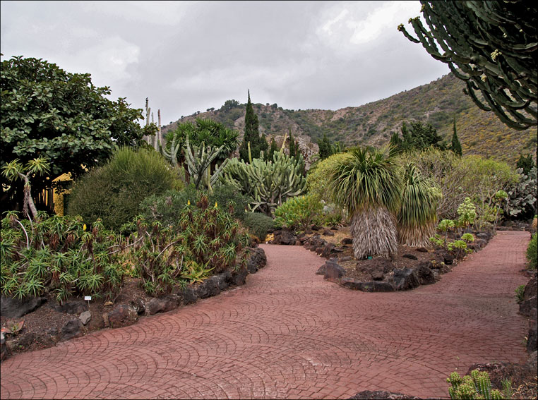 Foto de Gran Canaria (Las Palmas), España