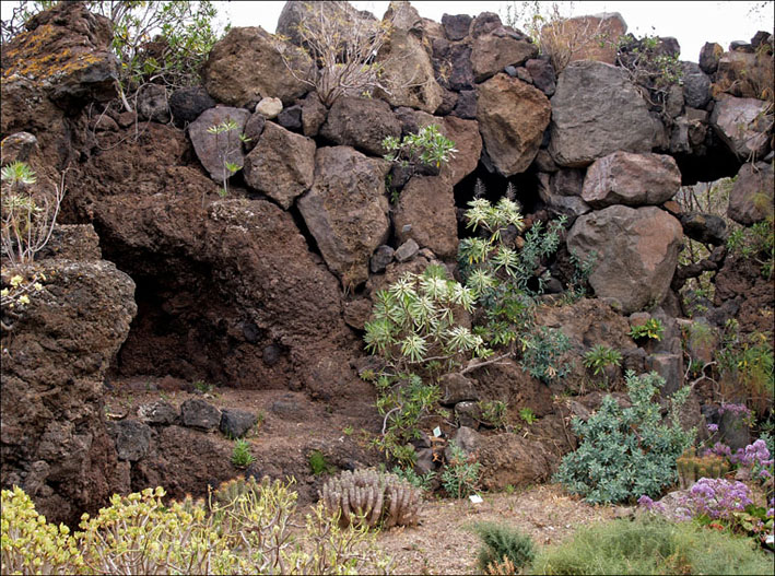 Foto de Gran Canaria (Las Palmas), España