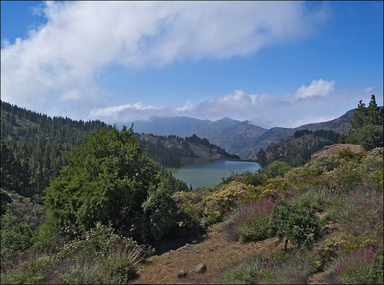 Foto de Gran Canaria (Las Palmas), España