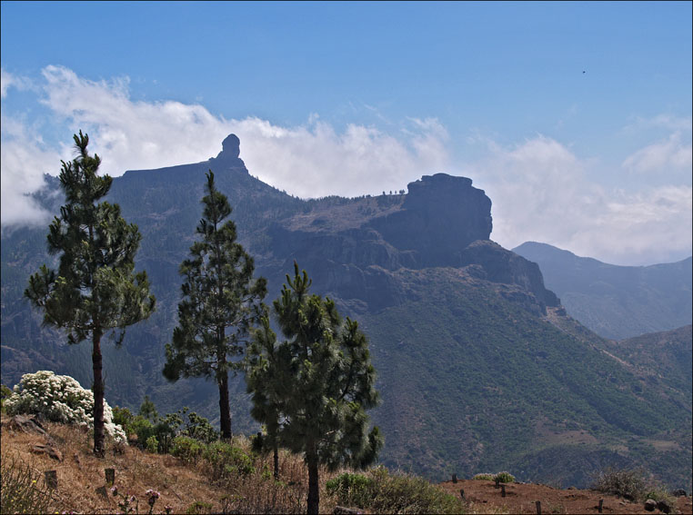 Foto de Gran Canaria (Las Palmas), España