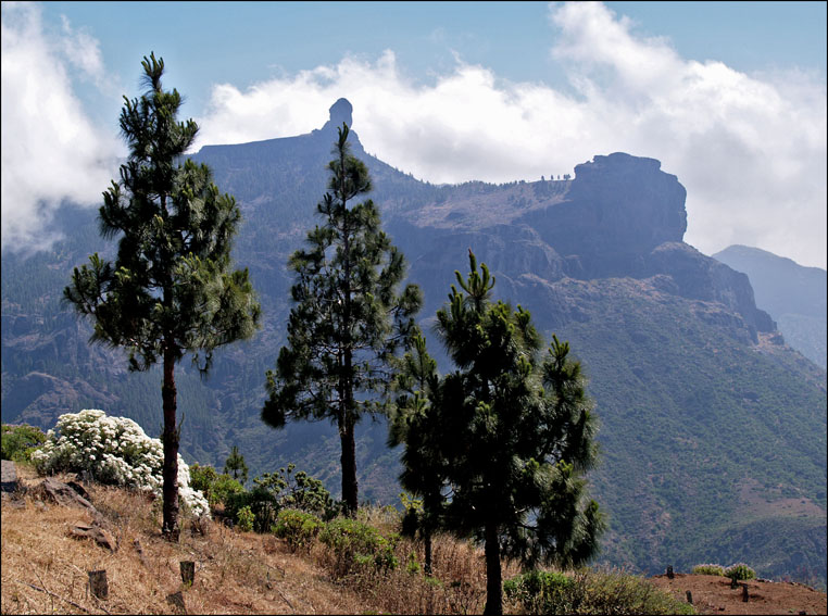 Foto de Gran Canaria (Las Palmas), España