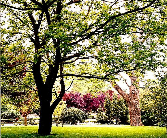 Foto de Gijón (Asturias), España