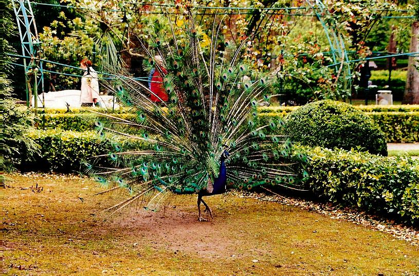 Foto de Gijón (Asturias), España
