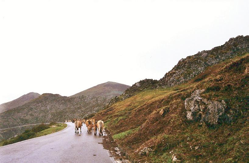 Foto de Lagos de Covadonga (Asturias), España