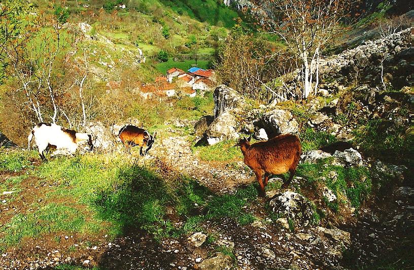 Foto de Bulmes (Asturias), España