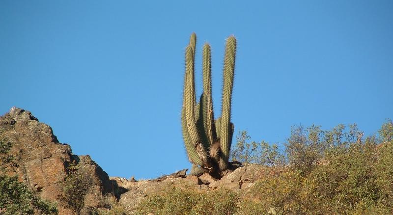 Foto de Santiago, Chile
