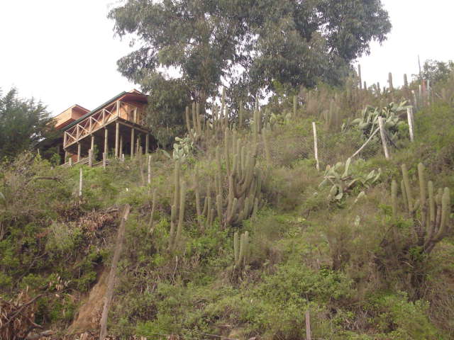 Foto de VALPARAISO, Chile