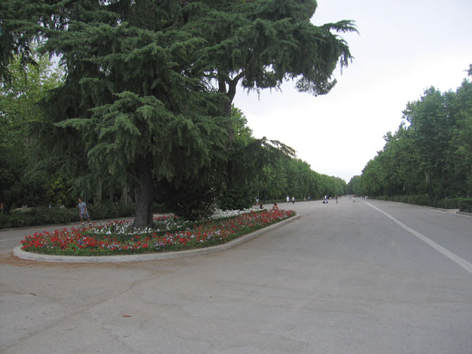 Foto de Madrid (Comunidad de Madrid), España