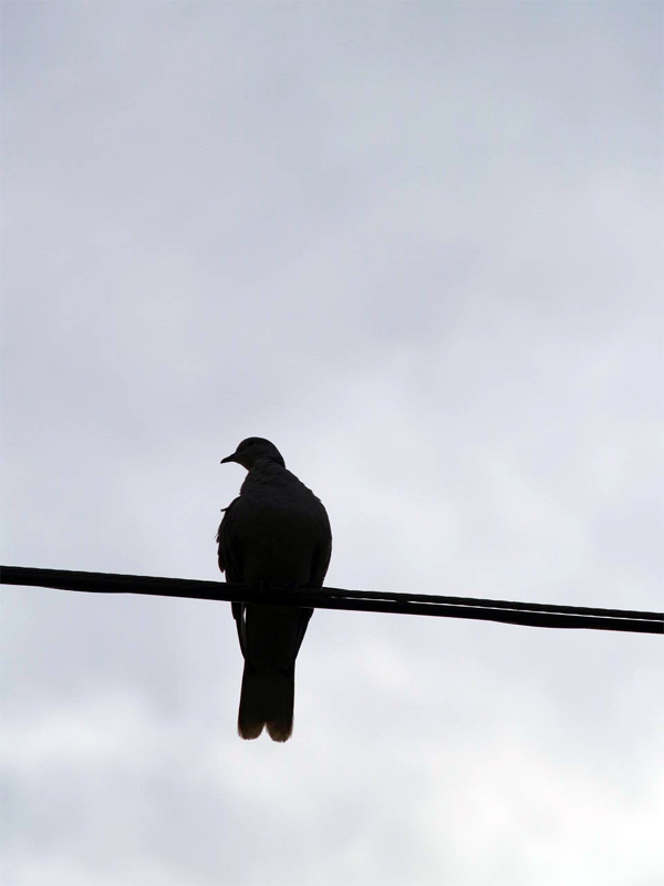 Foto de Palma de Mallorca (Illes Balears), España