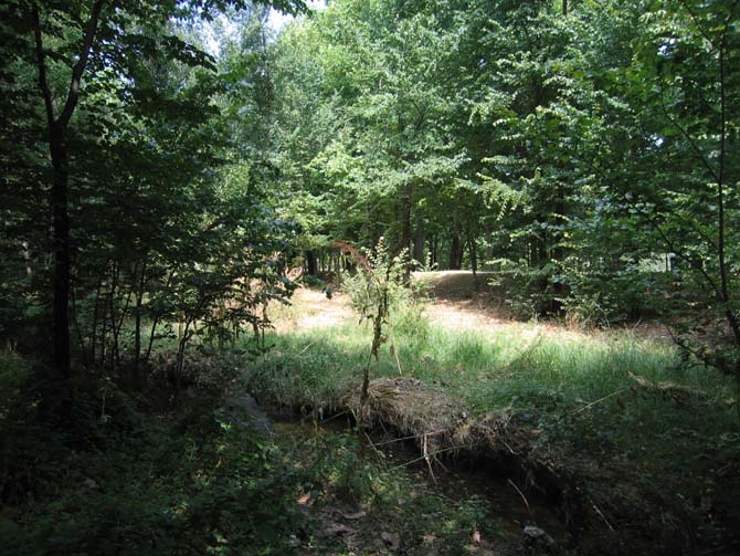 Foto de Madrid (Comunidad de Madrid), España