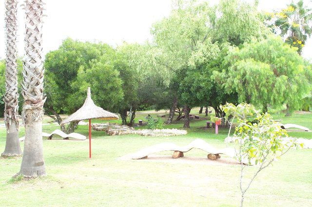 Foto de SALTO, Uruguay