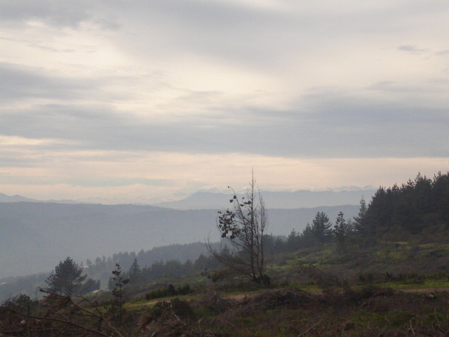 Foto de VALPARAISO, Chile
