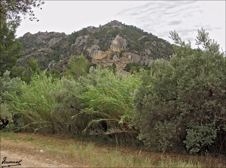 Foto de Prat de Comte (Tarragona), España