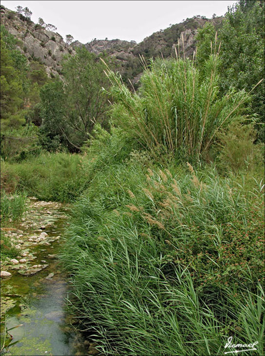 Foto de Prat de Comte (Tarragona), España