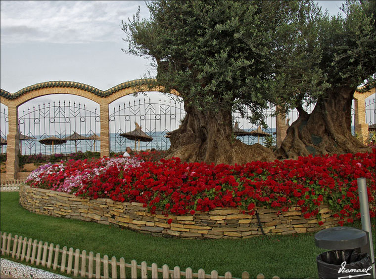 Foto de Oropesa del Mar (Castelló), España