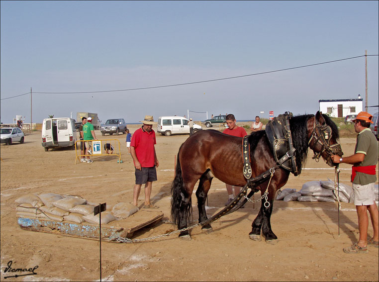 Foto de Ribera de Cabanes (Castelló), España
