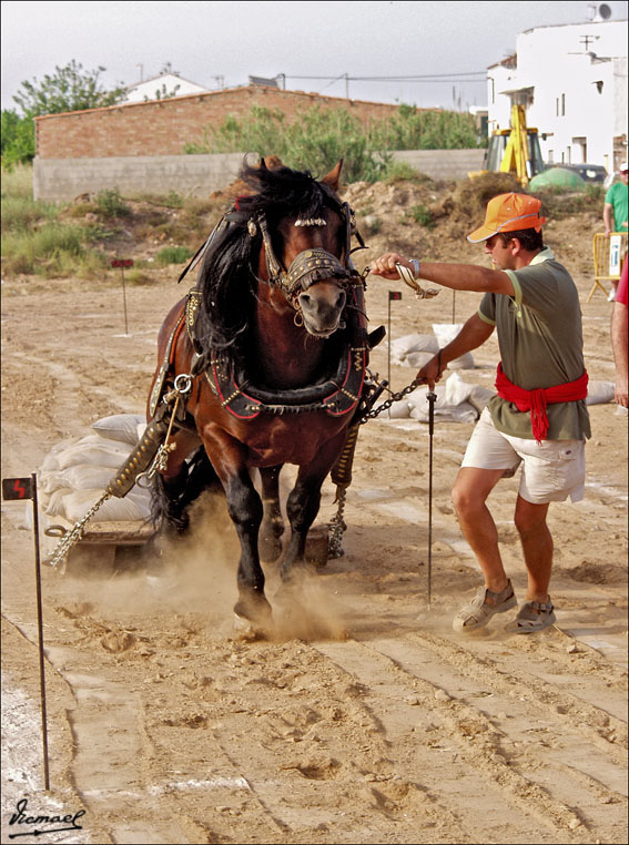 Foto de Ribera de Cabanes (Castelló), España